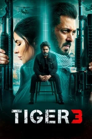 Filmyhit Tiger 3 2023 Hindi Full Movie WEB-DL 480p 720p 1080p Download